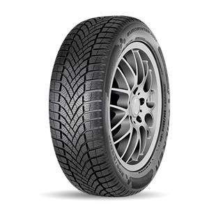 Falken Eurowinter HS02 205/55R16 TL 91H